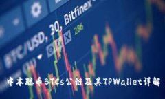 中本聪币BTCs公链及其TPW