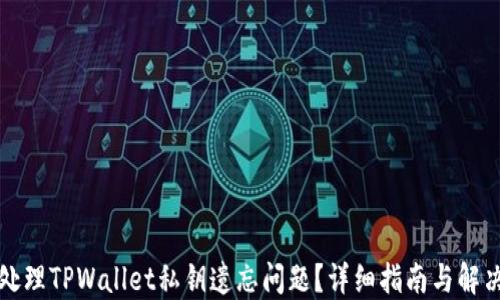 
如何处理TPWallet私钥遗忘问题？详细指南与解决方案