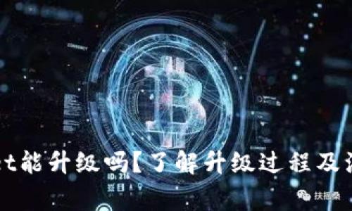 TPWallet能升级吗？了解升级过程及注意事项