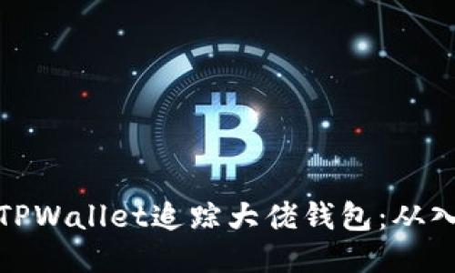 如何使用TPWallet追踪大佬钱包：从入门到精通