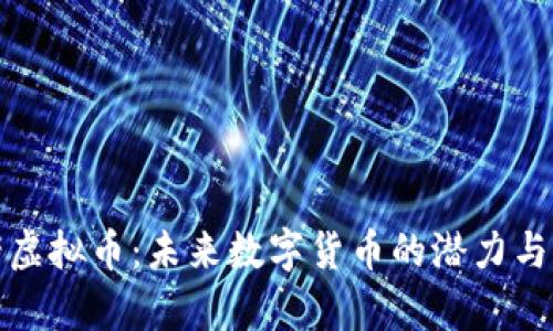 小猪虚拟币：未来数字货币的潜力与前景
