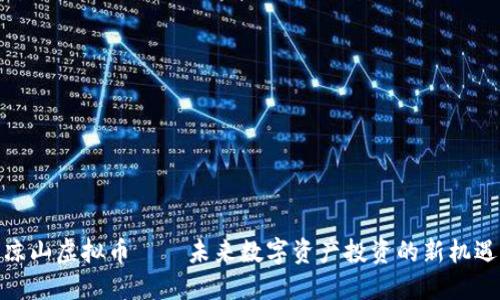 凉山虚拟币——未来数字资产投资的新机遇