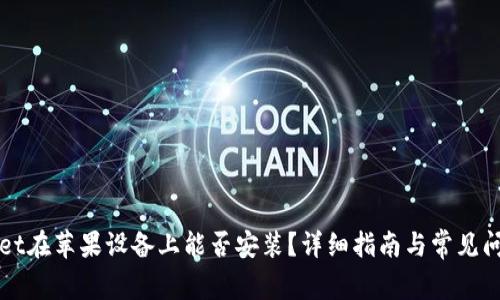 TPWallet在苹果设备上能否安装？详细指南与常见问题解答
