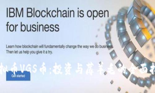 虚拟币VGS币：投资与蓐羊毛的全面指南