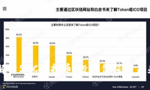 深入解析SNC虚拟币：投资价值与未来展望
