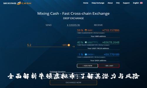 全面解析牛顿虚拟币：了解其潜力与风险