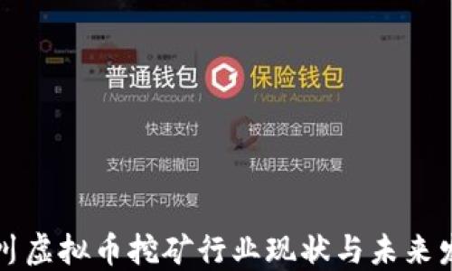 
四川虚拟币挖矿行业现状与未来发展