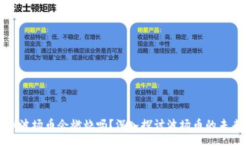 TPWallet波场币会燃烧吗？深入探讨波场币的未来与价值