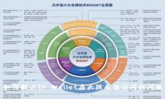 如何解决TP Wallet在大陆无