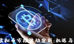 2023年虚拟币市场波动分析