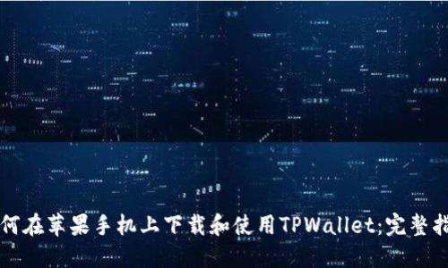 如何在苹果手机上下载和使用TPWallet：完整指南