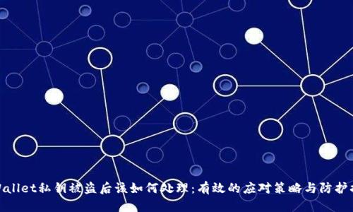 TPWallet私钥被盗后该如何处理：有效的应对策略与防护措施
