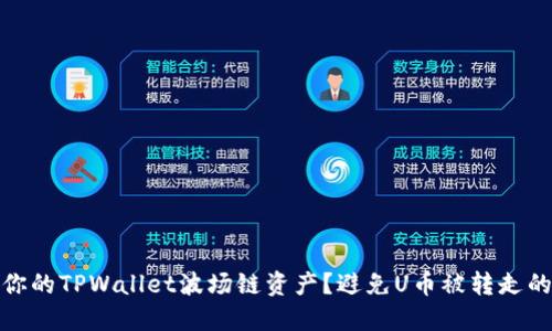 如何保护你的TPWallet波场链资产？避免U币被转走的实用攻略