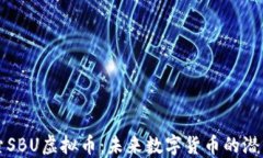 深入探索SBU虚拟币：未来