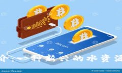 H2O虚拟币简介：一种新兴