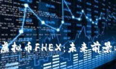  全面解析虚拟币FHEX：未来
