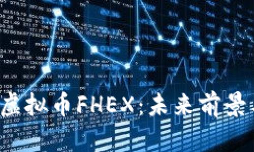  全面解析虚拟币FHEX：未来前景与投资潜力
