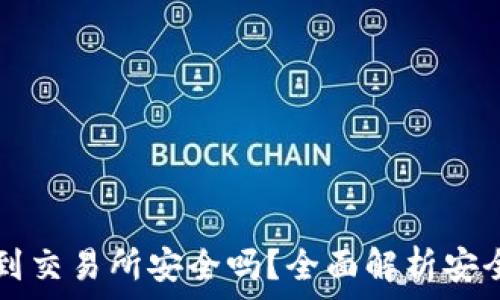   
tpwallet转币到交易所安全吗？全面解析安全性与风险防范