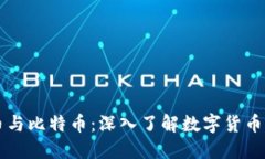 虚拟币与比特币：深入了
