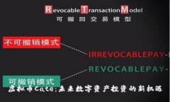 虚拟币Cate：未来数字资产