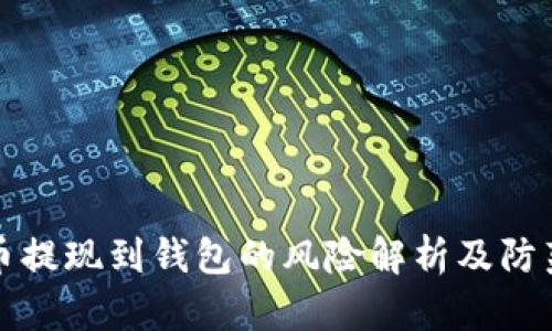 虚拟币提现到钱包的风险解析及防范措施
