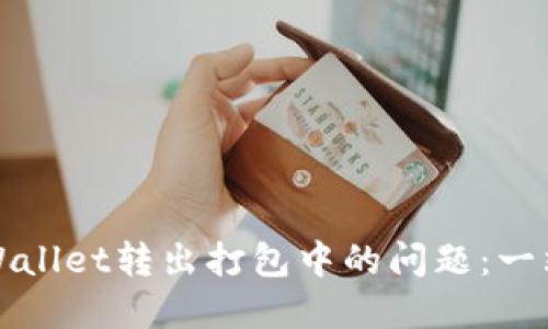 如何处理TPWallet转出打包中的问题：一站式解决方案