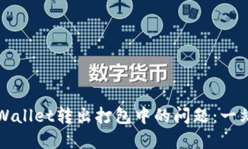 如何处理TPWallet转出打包中的问题：一站式解决方案