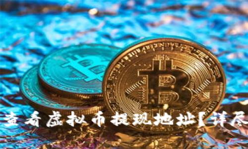 如何查看虚拟币提现地址？详尽指南