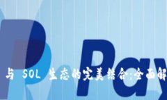TokenPocket 与 SOL 生态的完美