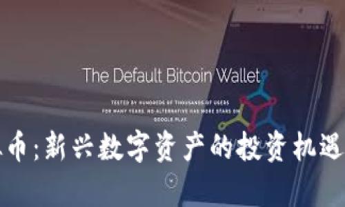 低面额虚拟币：新兴数字资产的投资机遇与风险分析