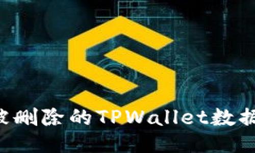 如何找回被删除的TPWallet数据：全面指南