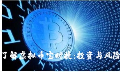深入了解虚拟币宝时捷：投资与风险分析