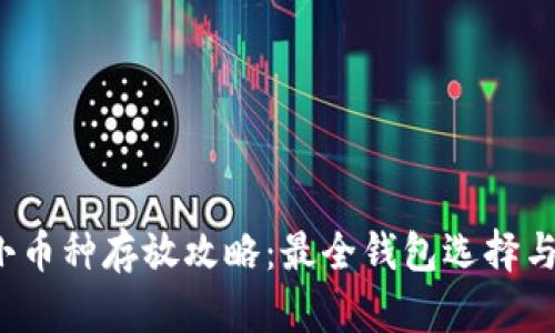  虚拟币小币种存放攻略：最全钱包选择与操作指南