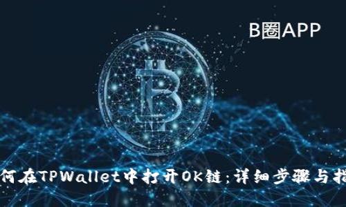 如何在TPWallet中打开OK链：详细步骤与指南
