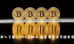 深入了解VLUME虚拟币：投资