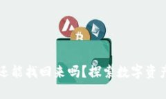 tpwallet被盗后还能找回来吗