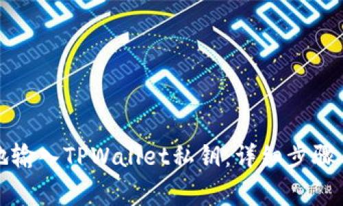 如何安全地输入TPWallet私钥：详细步骤与注意事项