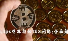 如何解决TPWallet中冻结的
