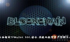 全面解析TPWallet BSC：安全