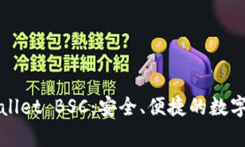 全面解析TPWallet BSC：安全、便捷的数字资产管理工具