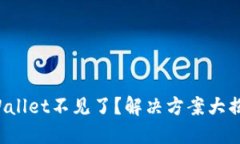TPWallet不见了？解决方案大