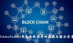 TokenPocket钱包未收到币的原