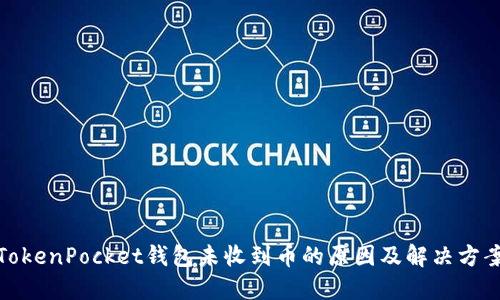 TokenPocket钱包未收到币的原因及解决方案