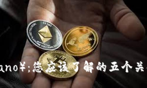 code
卡尔达诺（Cardano）：您应该了解的五个关键点与投资机会