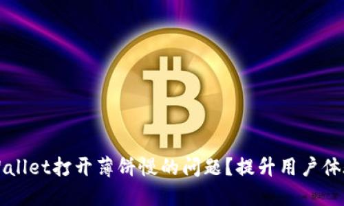如何解决TPWallet打开薄饼慢的问题？提升用户体验的实用指南