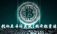 虚拟货币挖的是币还是坑