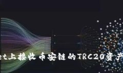 如何在TPWallet上接收币安链