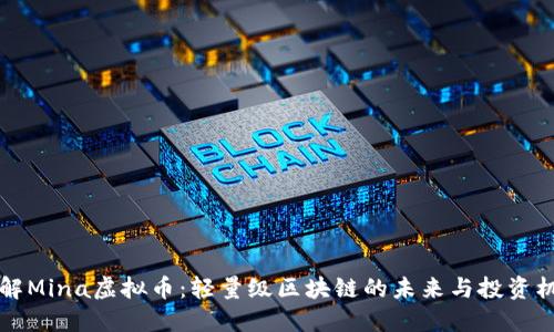 了解Mina虚拟币：轻量级区块链的未来与投资机遇