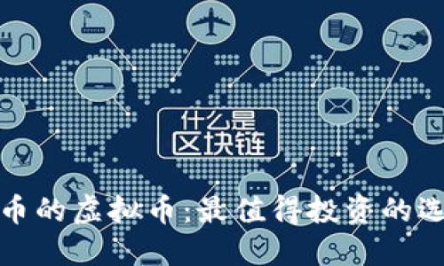 揭秘类似狗狗币的虚拟币：最值得投资的选项与未来趋势