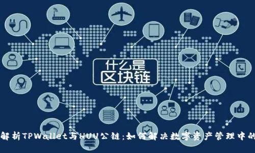 深入解析TPWallet与HUU公链：如何解决数字资产管理中的痛点